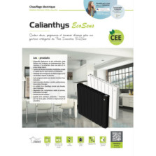 Radiateur électrique à fluide Calianthys éco sens Anthracite