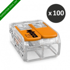 Wago - Borne de raccordement fil souple COMPACT, 2 conducteurs - Réf : 221-412 X100