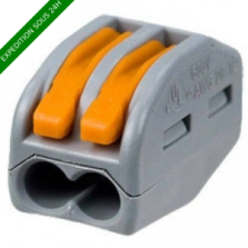 WAGO 222-412 - BORNES DE CONNEXION AVEC LEVIERS 2 X 4MM² 50 pièces