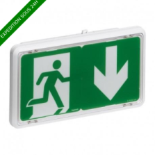 Legrand - BAES d'évacuation ECO1 standard à LEDs 45lm-1h plastique IP43-IK07 SATI Autodiag - Réf : 062525