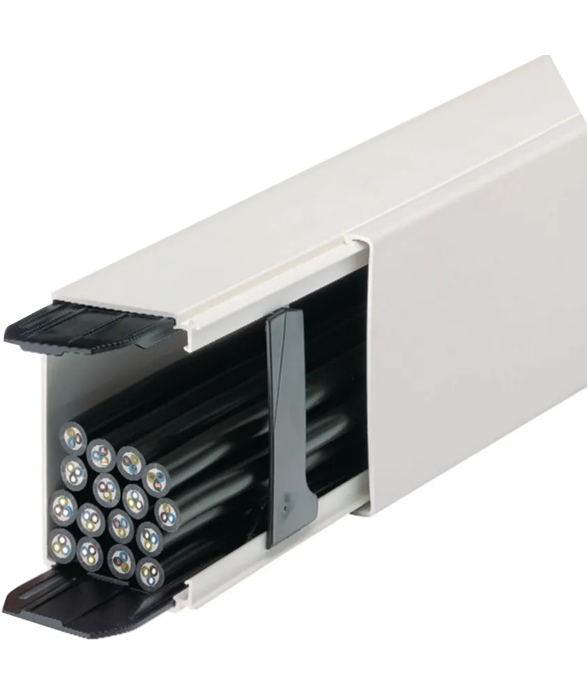 Goulotte de distribution cloisonnable lifea LFF 60x90mm PVC Blanc