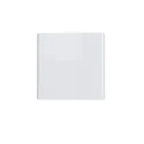 Chamane radiateur...