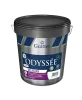 Peinture professionnelle...