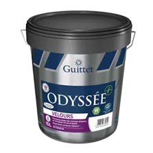 Peinture professionnelle...