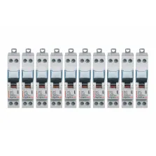Lot de 10 Disjoncteurs DNX 10A - Uni+N -230V- À Vis (406773)